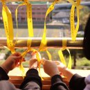 동일미래과학고등학교 이미지