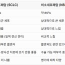60대 여성 폐암 4기 '타그리소 표적항암제' +세포독성 항암제 병행 투여중 이미지