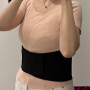 다이소 허리복대 사용 후 미올로 얇은 허리보호대 비교 후기