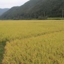 미산정미소 이미지