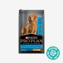 PUPPY HILL'S 이미지