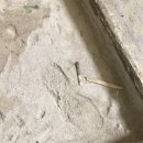 대전서구공작한양3 - 151175 | 대전서구공작한양3