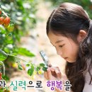 염산초야월분교장 | 악보와 반주 교가 염산초등학교