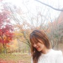 수목원피씨 네이버블로그