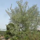 동미농장 이미지