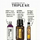 대지오일 | 대지의 선물 도테라와 21일의동행( 레몬오일,포스티엠,EO)