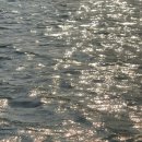 무드인디고 이미지