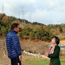 송전마을(송전) 이미지