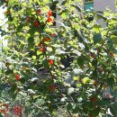 숲속나라어린이집 이미지