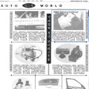 대한부란자 이미지