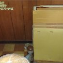 완산-171 이미지