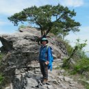 카페수련 이미지