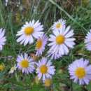 한솔농장 이미지