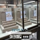 월드HONG투어 | 아크레도 종로점 웨딩밴드 당일계약 후기(내돈내산, 할인, 꿀팁 총정리, 백화점 투어)