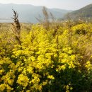 개경포기념공원 이미지