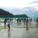 거금해양낚시공원 이미지