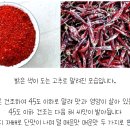 나에게 친사모 상품권10만원이 생긴다면 이미지