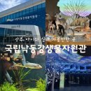 참;나(공연장 상주단체) | 상주 ‘국립낙동강생물자원관’ 아이와 가볼만한곳 두돌아기와 다녀온 후기