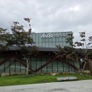 수원어린이교통공원(영통동) | ​[수원 가볼만한곳] 주말 도심 속 힐링 스폿, 수원 영흥수목원 나들이 후기