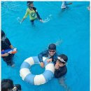 강철태권도 이미지