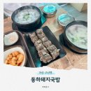 반동초등학교 | 마산 구산면 동하돼지국밥ㅣ머릿고기 국밥 마산 구산면 맛집 로봇랜드 맛집