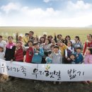 우리밀밭 이미지