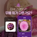 라떼이즈 | 서울 우베라떼 파는곳 망원동 네임이즈마빈 내돈내산 후기