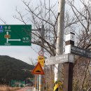 진동면사무소 이미지