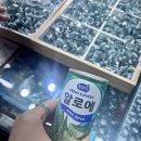 요즘 핫한 종로 3가 귀금속거리 옥시방에서 💎옥반지💍 구매한 후기