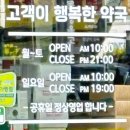 디스이즈약국 이미지