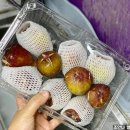 영오1농장 이미지