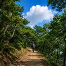 8월31일(월) 운서역10시30분 여름바다 배타고가는 섬/장봉도 여행을 함께하실분 연락주세요 이미지