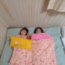 폭낭 올레집 이미지