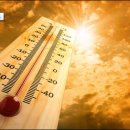＜호주뉴스,시드니찜통더위＞ 시드니는 장기적인 평균 기온보다 15도가 더 높은 찜통더위가 예측 이미지