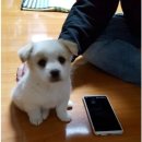 자유공간식당 이미지