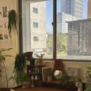 류카세차장 | 제주여행 2일차🍊 그럼외도, 베르디, 하얏트호텔, 제주여행렌트정보