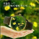 지혜세탁소 Daum카페