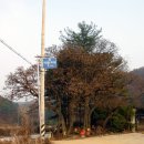 무지랭이 약수터 Daum카페