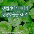 셀뷰