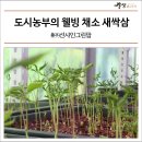 ㈜선샤인그린팜 이미지