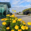 상1리 마을회관 이미지