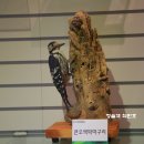 정자천 | 봉황이 날아 올라 조선개국의 계시를 준 장수 뜬봉샘/전북 태조 이성계 역사탐방 5