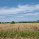 호수로50번길 이미지