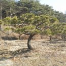 개운리농장 이미지