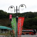 풍기선비골인삼시장 이미지