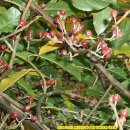 장촌공원 이미지