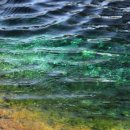 쪽빛하늘로 이미지