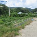 원통초등학교신덕분교장 이미지