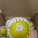 팡팡과일 | 과채팡팡 아삭달콤 제철과일 태추단감 후기