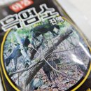 송백 흑염소 이미지